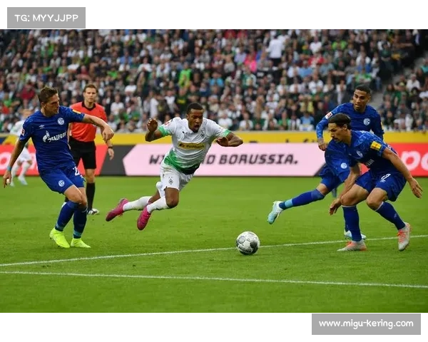 德甲环保新举措全赛季球场全面启用太阳能电力供给推动绿色足球发展